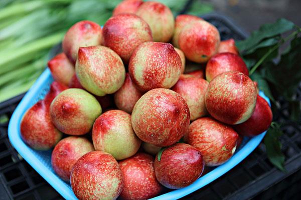 油桃怎么做罐头 油桃能不能做罐头吃