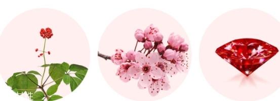 merbliss婚纱红宝石面膜多少钱？