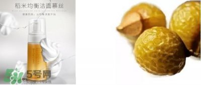 ​素野稻米洁面慕斯怎么用？素野稻米洁面慕斯使用方法