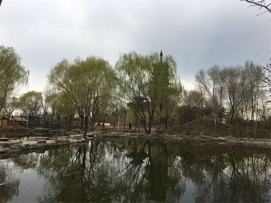 北京最牛的村级公园，号称北方苏州园林的榆树庄公园