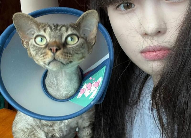 对女朋友说的简单暖心情话（精选10条）