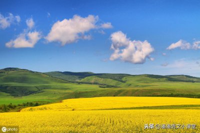 ​向美文《田野上的白发》学作文