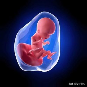 ​5个月的胎宝宝长这样，准妈妈快来看看吧