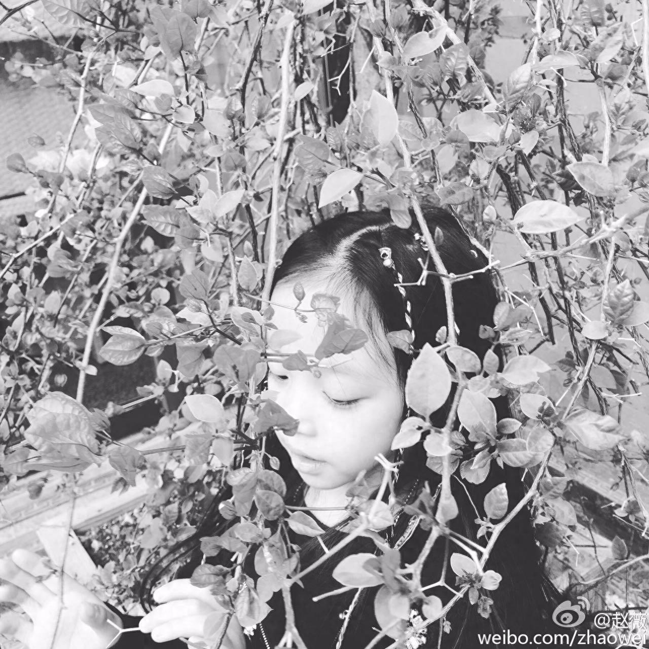 赵薇晒女儿小四月新照片，大眼萌娃已长大成为美人胚子了！