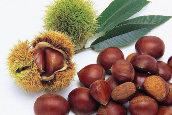 板栗的含糖量高不高 板栗糖尿病人能吃吗