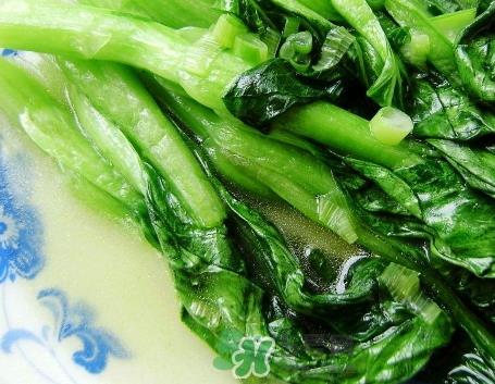 油菜可以放冰箱保存吗_油菜能放在冰箱几天