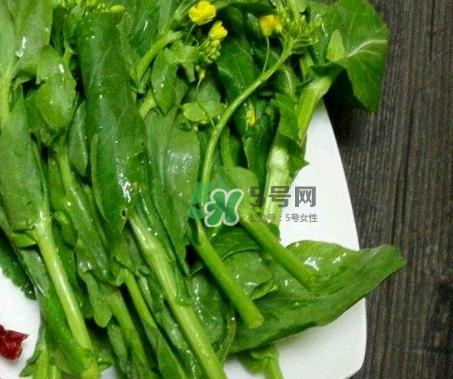 油菜可以放冰箱保存吗_油菜能放在冰箱几天