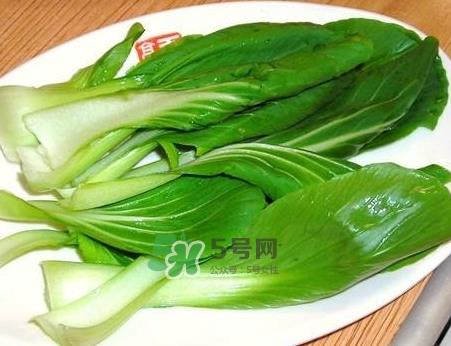 油菜可以放冰箱保存吗_油菜能放在冰箱几天