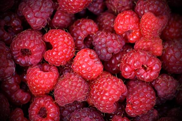 覆盆子含糖量高吗 覆盆子糖尿病人能吃吗