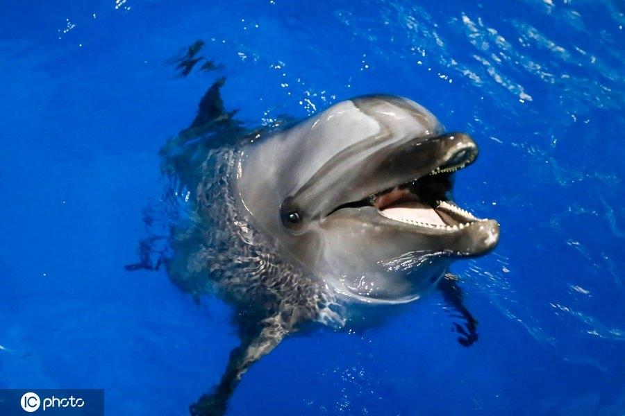 满满正能量！世界微笑日图看最“纯粹”笑容，第6图最搞笑