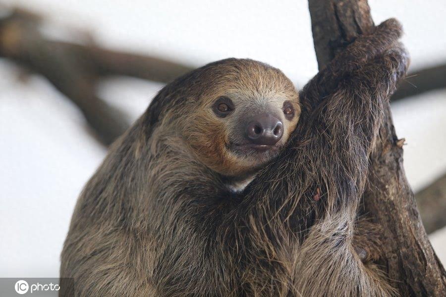 满满正能量！世界微笑日图看最“纯粹”笑容，第6图最搞笑