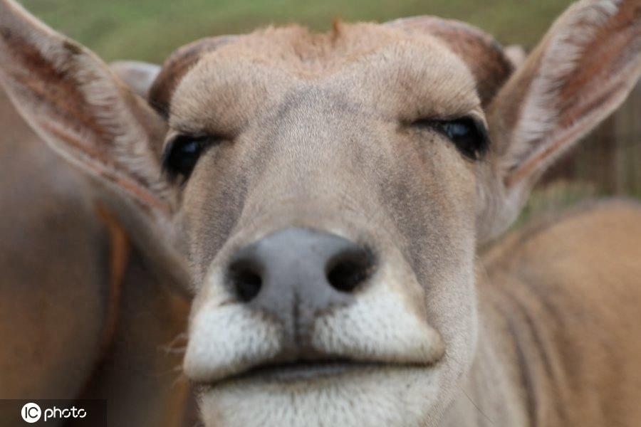 满满正能量！世界微笑日图看最“纯粹”笑容，第6图最搞笑