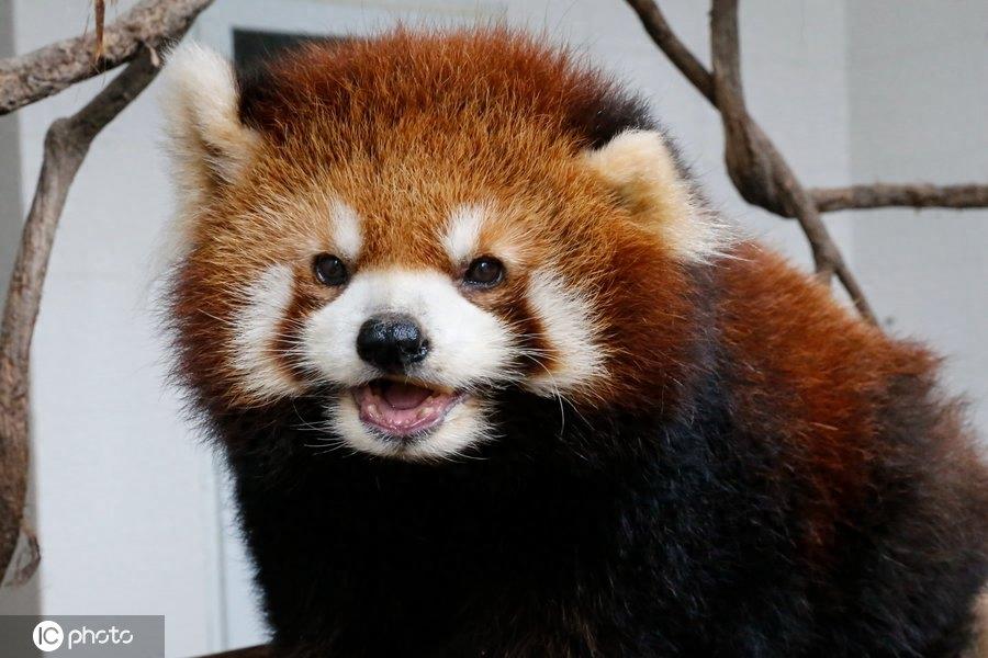 满满正能量！世界微笑日图看最“纯粹”笑容，第6图最搞笑