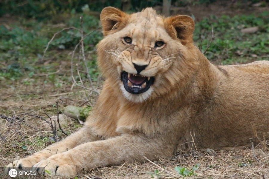 满满正能量！世界微笑日图看最“纯粹”笑容，第6图最搞笑