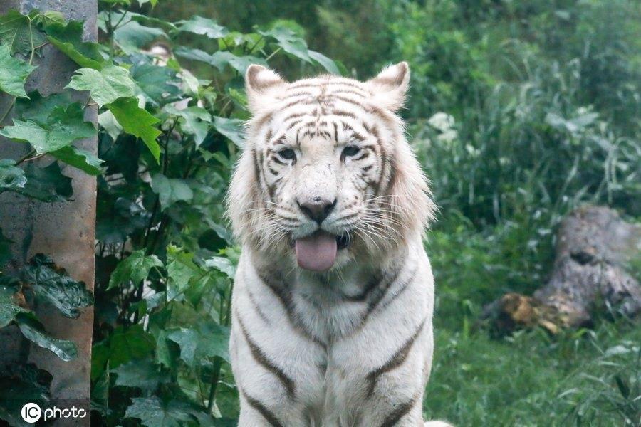 满满正能量！世界微笑日图看最“纯粹”笑容，第6图最搞笑