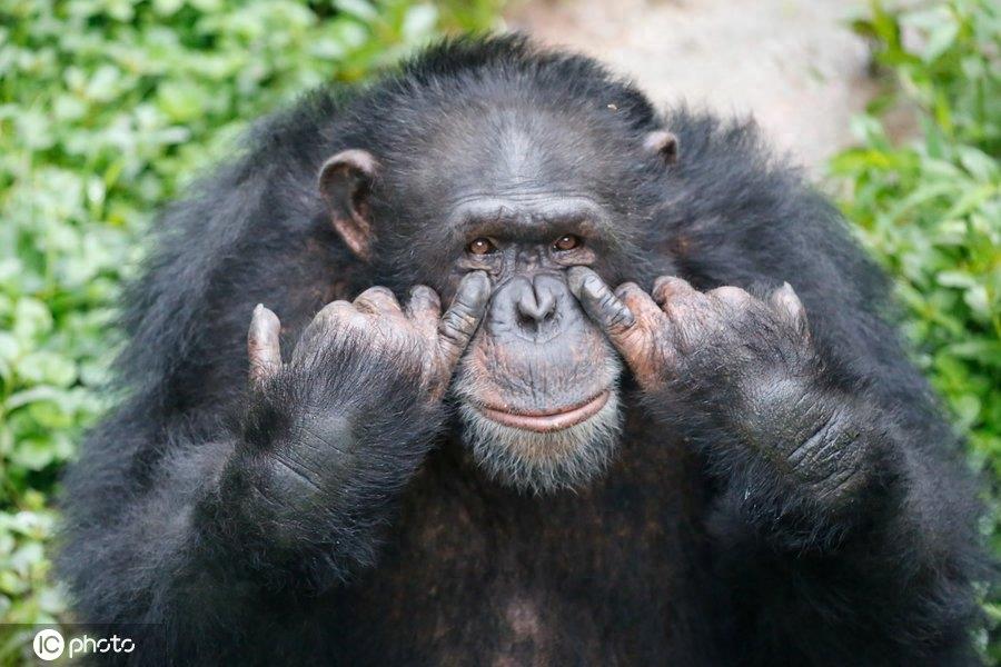 满满正能量！世界微笑日图看最“纯粹”笑容，第6图最搞笑