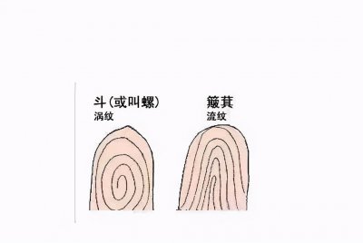 ​一斗穷二斗富？你手上有几个斗？