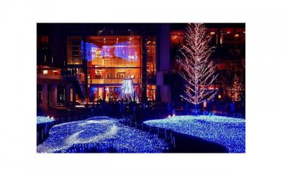 ​会快速拉近你们的距离 和异性约会有什么技巧