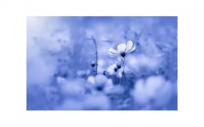 ​男的对第一次睡的女生是什么感情？