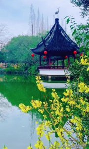 ​让你心情舒畅的美景壁纸背景图