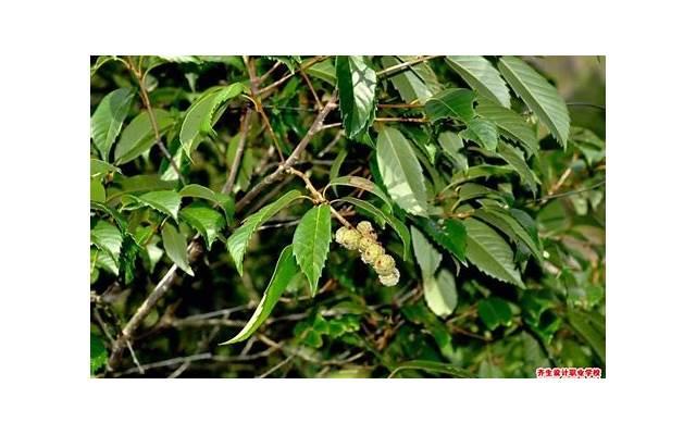 热恋过后冷淡期怎么办 重新腻歪时刻