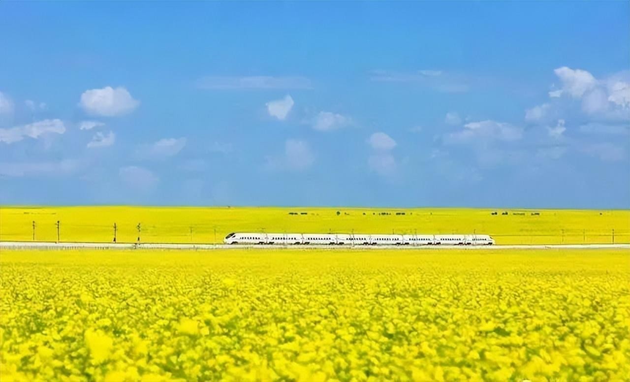 夏天最适合旅游的地方（12个夏天最值得去的地方推荐）-