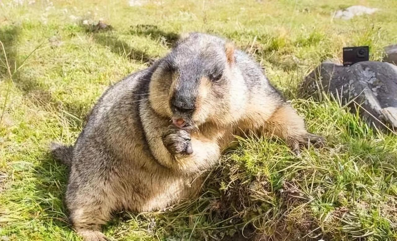 夏天最适合旅游的地方（12个夏天最值得去的地方推荐）-