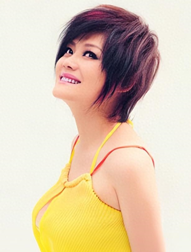 歌手何静现状及个人简历（何静的人生经历及两段婚姻）-