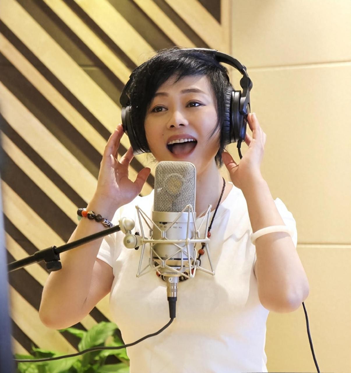 歌手何静现状及个人简历（何静的人生经历及两段婚姻）-