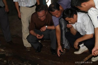 ​宣酒10重磅上市 品质密码引关注