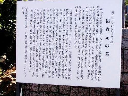 杨玉环生了几个孩子，生过孩子吗 杨玉环第一孩子和谁生的