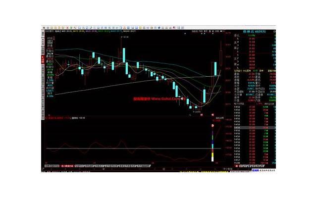 如何鉴别健身房的帅哥是不是同志 健身房的帅哥同志的鉴别方法