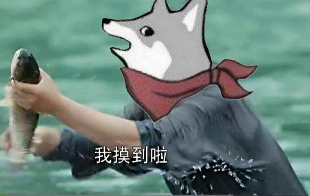 英雄联盟每周半价皮肤时间表（英雄联盟2025第一个活动来啦）(12)