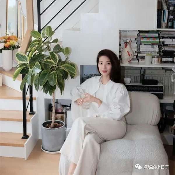 icicle是什么牌子贵吗（icicle是什么牌子）