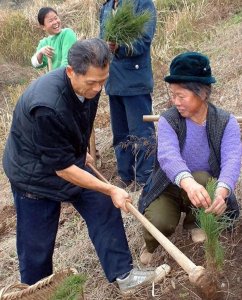 ​退耕还林还草一年补贴多少钱？补贴几年？后续有什么新政策吗？