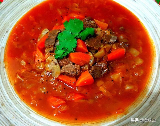 罗宋汤最简单的做法（罗宋汤的17种做法）(17)