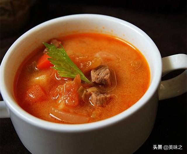 罗宋汤最简单的做法（罗宋汤的17种做法）(11)