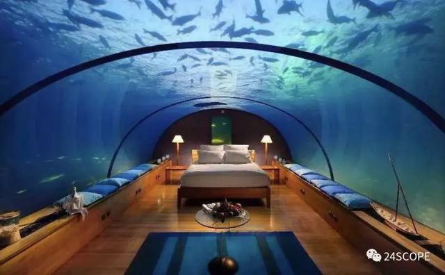 蜜月马尔代夫选岛攻略（马尔代夫该如何选岛）(22)