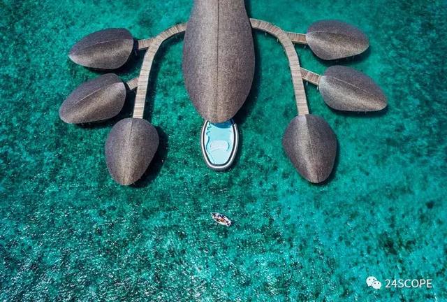 蜜月马尔代夫选岛攻略（马尔代夫该如何选岛）(4)