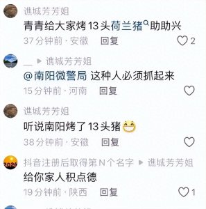 ​这个地域黑把安徽人的脸都丢完了，就看安徽人会不会清理门户了。