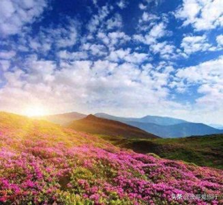 ​杜鹃花开之际，就是马鹿塘化身花海的时候，来到这里就如误入仙境