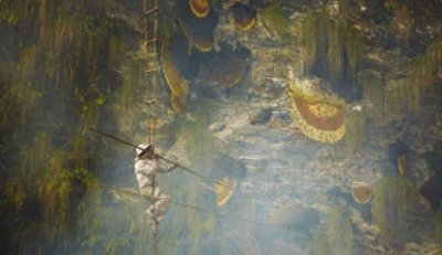 ​喜马拉雅悬崖蜂生长在悬崖边上，是世界上最大的蜜蜂