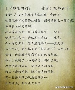 ​主角纯是剑修的玄幻小说! 一剑破万法！一剑斩破九重天！