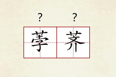 ​荸荠不读bòqí，正确的读音是什么，啥意思？你爱过吗？