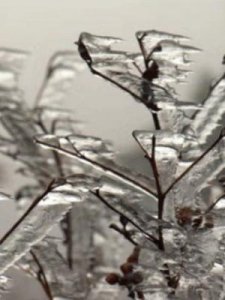 ​雾凇的意思(雾凇的定义是什么)