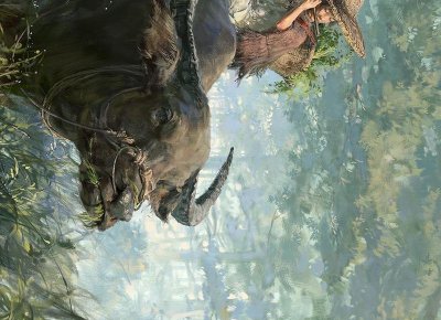 ​上海丈母娘抖音文案（上海的丈母娘怎么样）