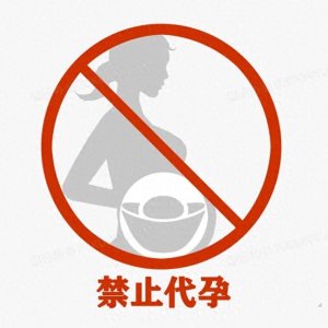 ​那个傻子提出的女人代孕合法化？