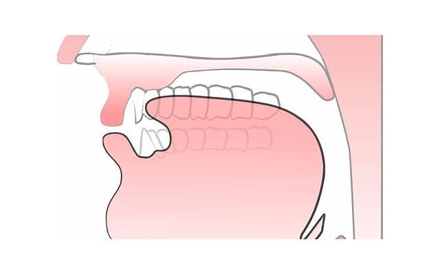 秋季如何自制养生茶 秋季怎样泡脚预防感冒