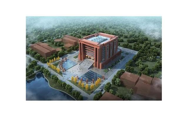 新婚夫妇如何在初夜达到性高潮？