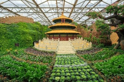 ​广州鲜为人知的十个小众宝藏打卡地，你去过几个？